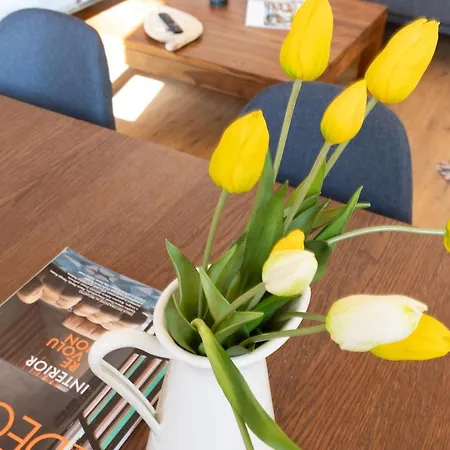 Apartamento Casanina - The House Of Travelers *